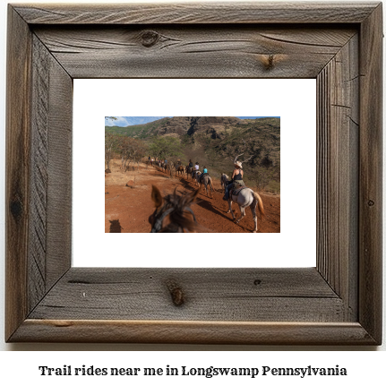 trail rides near me in Longswamp, Pennsylvania